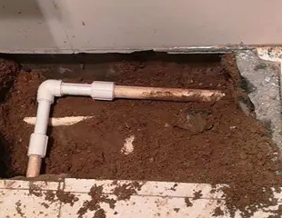 安庆测漏水哪家好