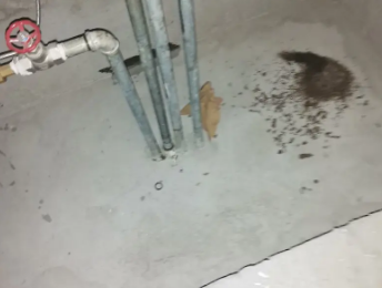 安庆卫生间测漏水价格明细